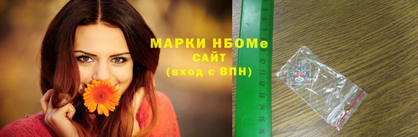 стафф Алзамай