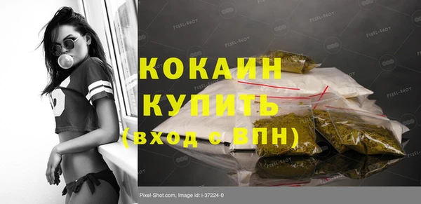дмт Рославль