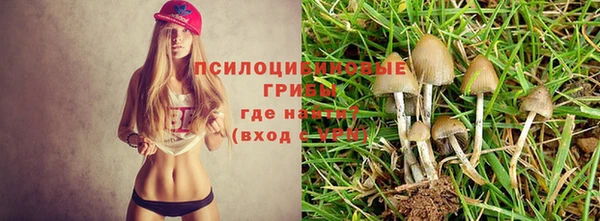 гашиш Алексеевка