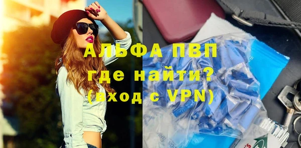 стафф Алзамай