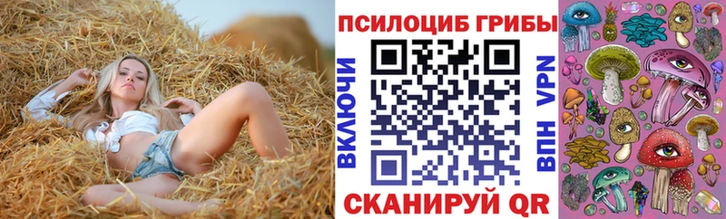 Галлюциногенные грибы GOLDEN TEACHER  Апшеронск 