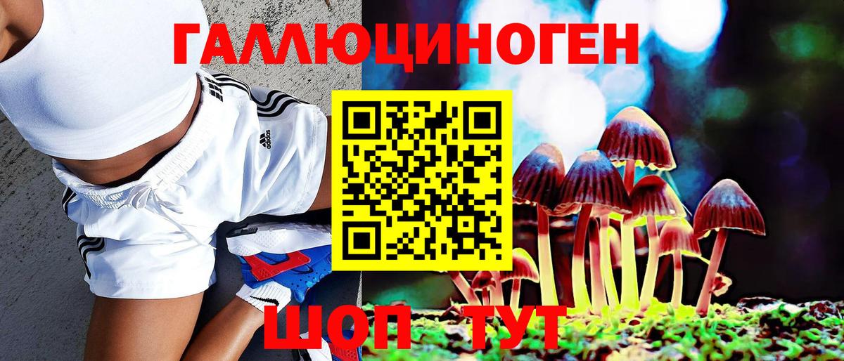 Галлюциногенные грибы Psilocybe Апшеронск